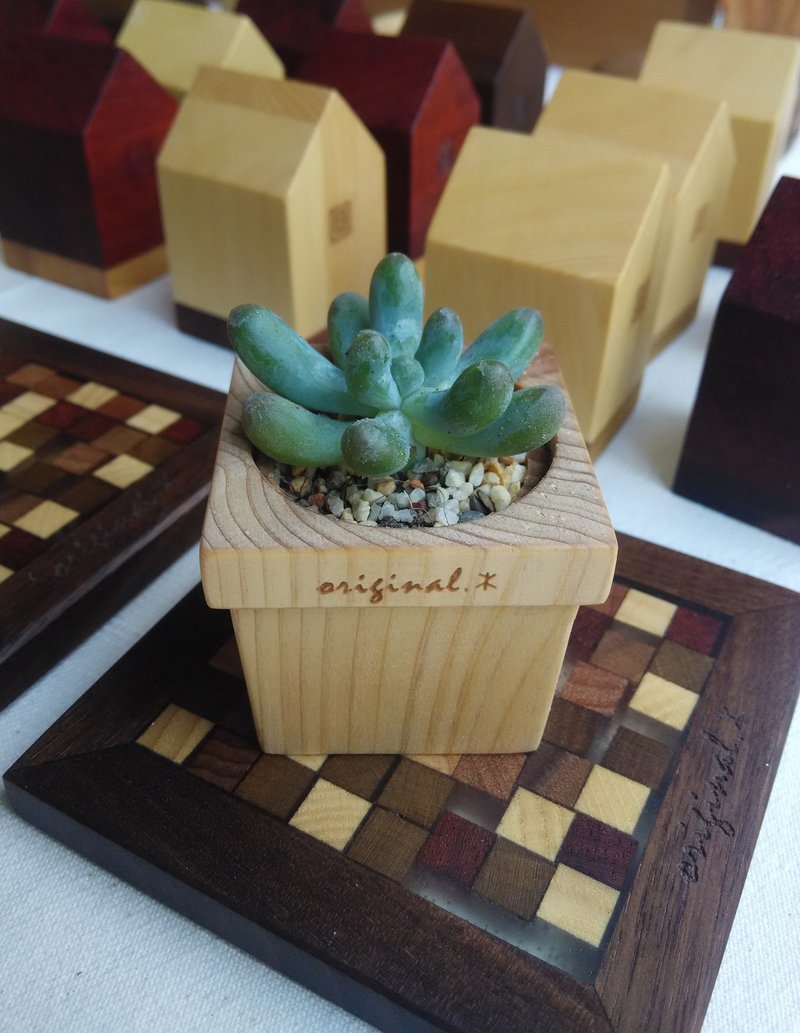 【original.木】森林系列_迷你木盆栽 (不含植物) - 植栽/盆栽 - 木头 金色