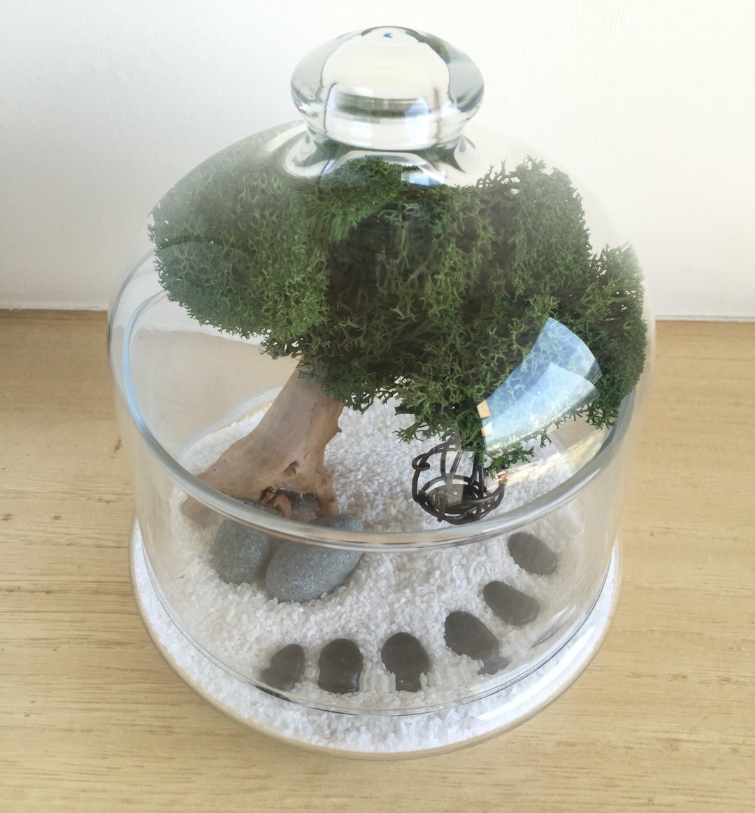 ［纯自然］ diy组 瓶中树 漂流木 小树 玻璃钟 盆栽 植物 送礼 疗愈 小物 tree potted - 摆饰 - 植物．花 绿色