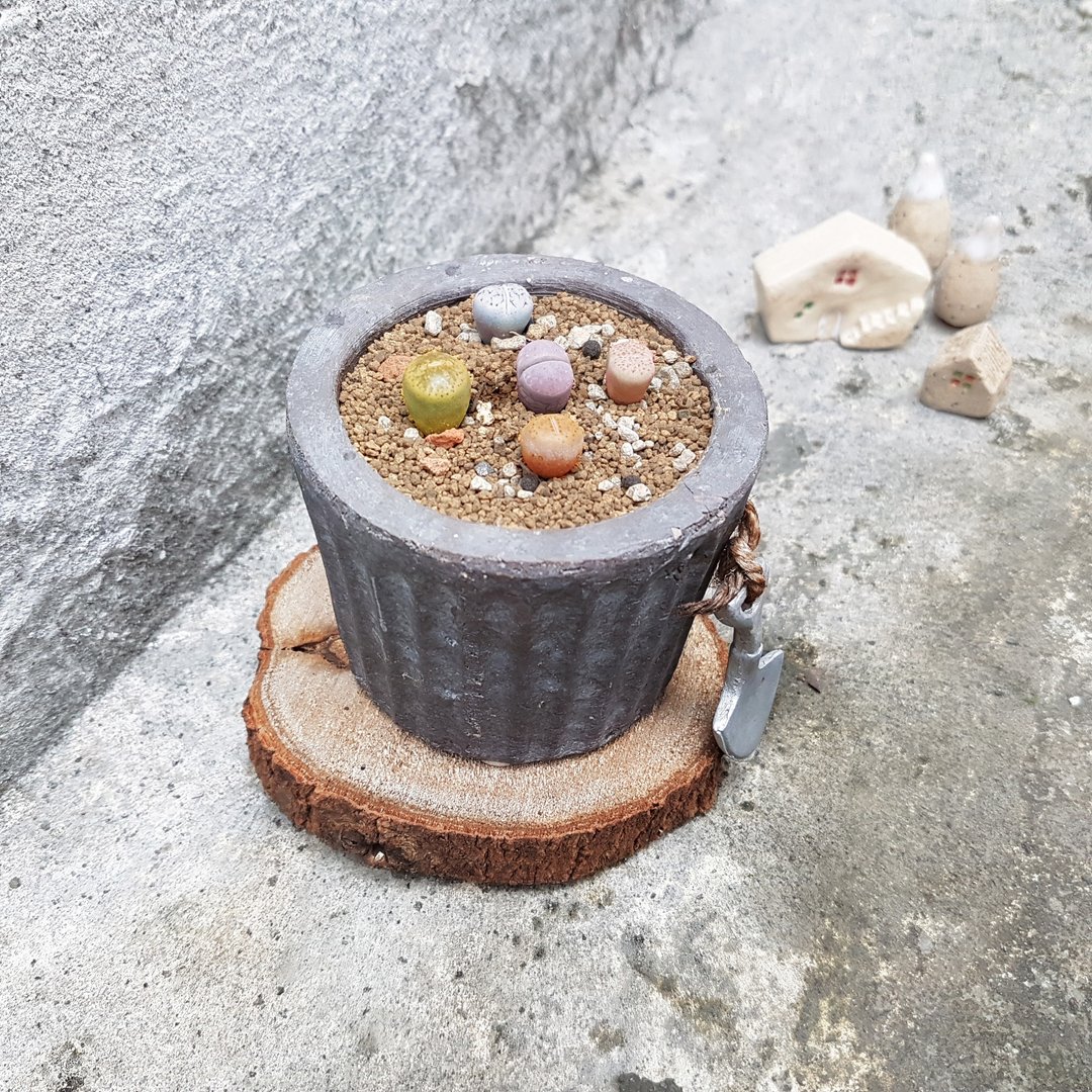铲起屁股小甜点 【Shovel the Dessert of Bottom】 - 植栽/盆栽 - 陶 灰色