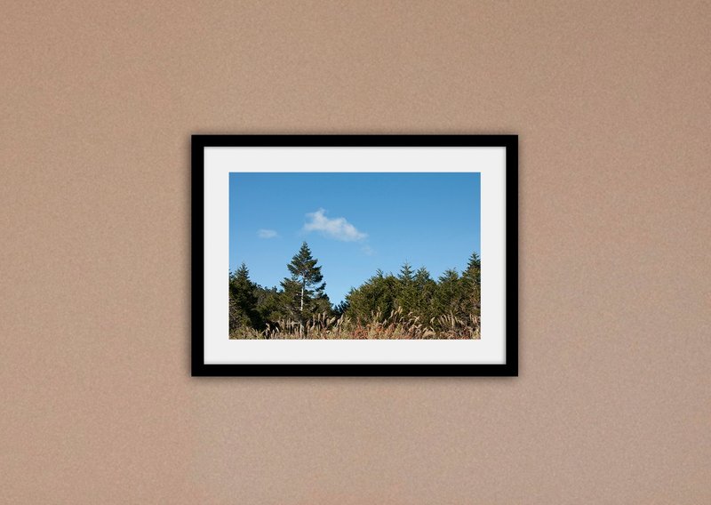 摄影  台湾 林景II (不含框/可加价购框) - 摄影集 - 纸 绿色