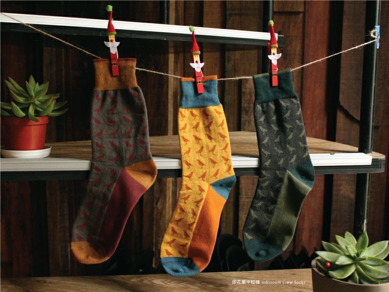 印花乐中短袜三双组【优惠价550】 - 袜子 - 其他材质 多色