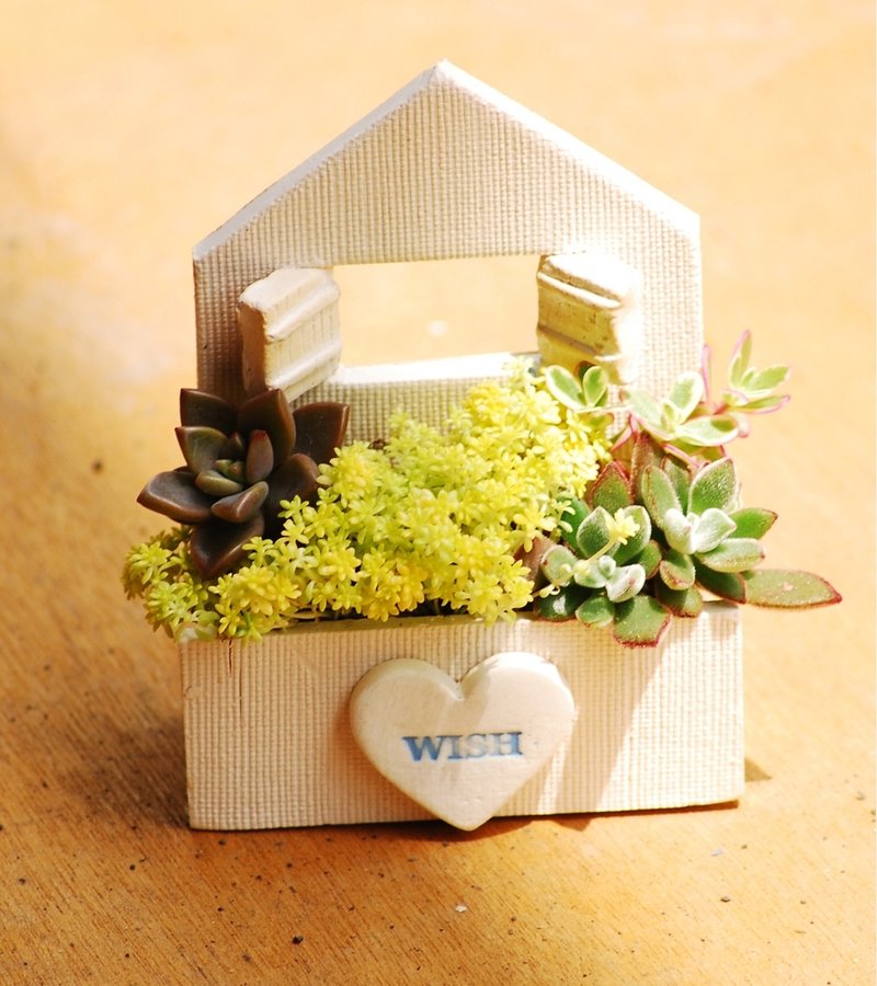 花园-不含多肉植物“空盆器”（HC-12） - 植栽/盆栽 - 其他材质 白色