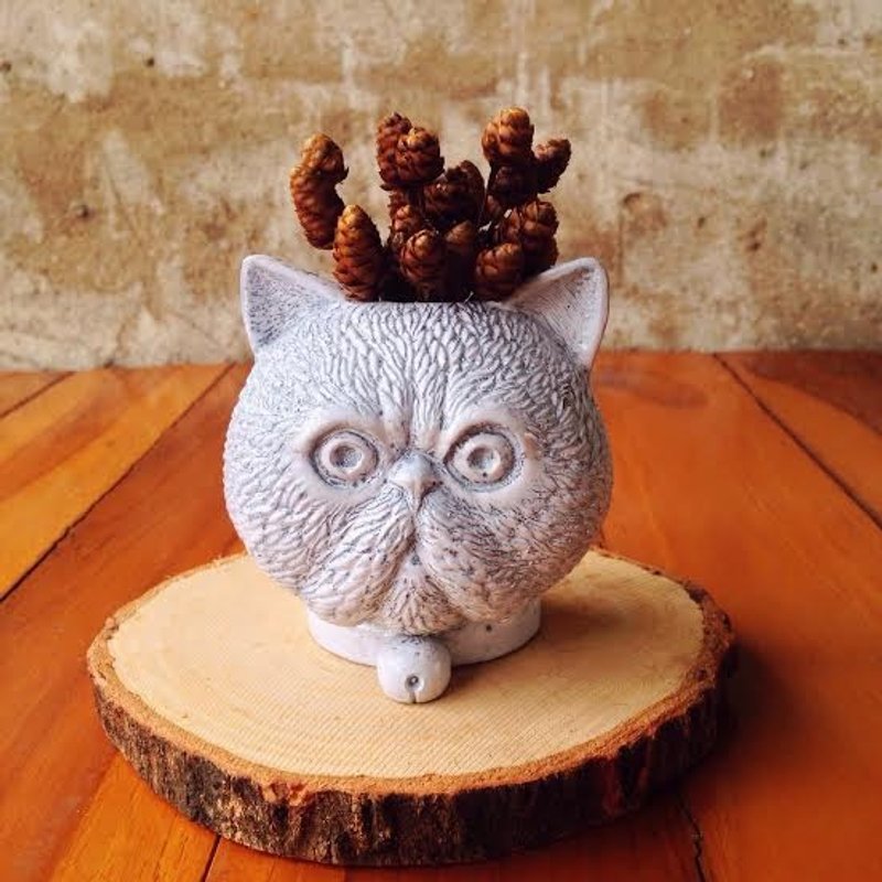 喵星人树胶盆栽（灰白色） - 植栽 - 其他材质 白色