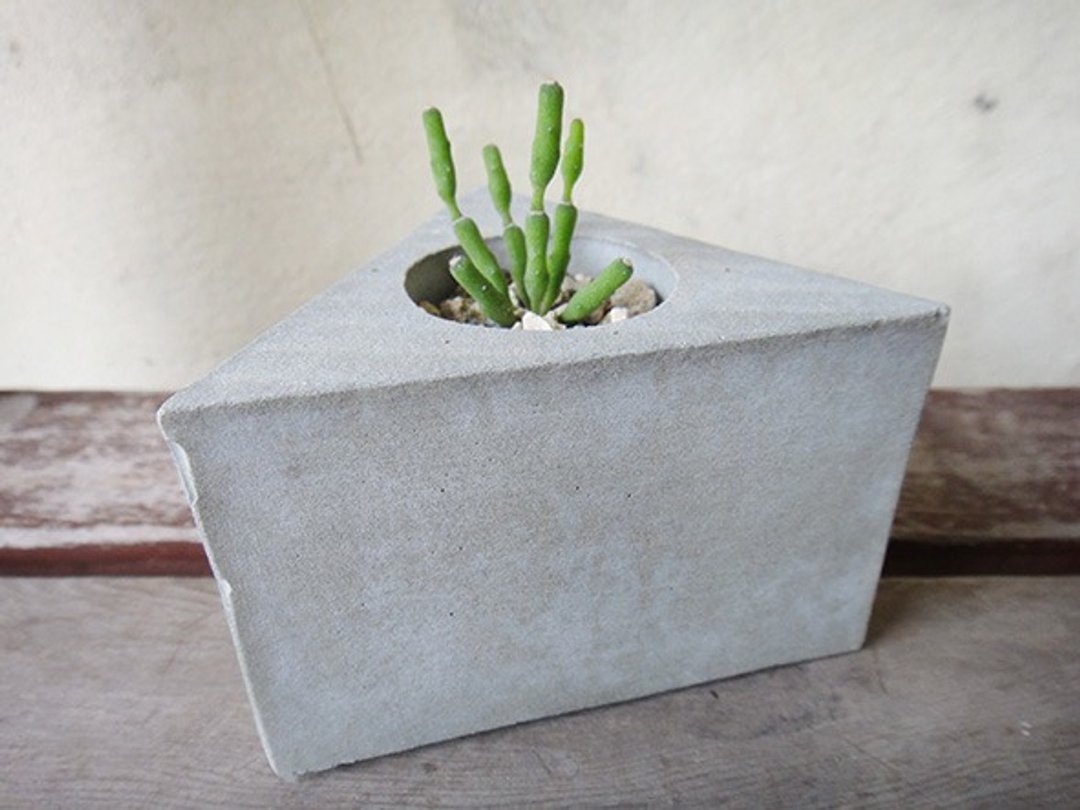 三角 仿石 水泥盆器 盆栽 植栽 猿恋苇 盆栽 - 植栽/盆栽 - 植物．花 绿色