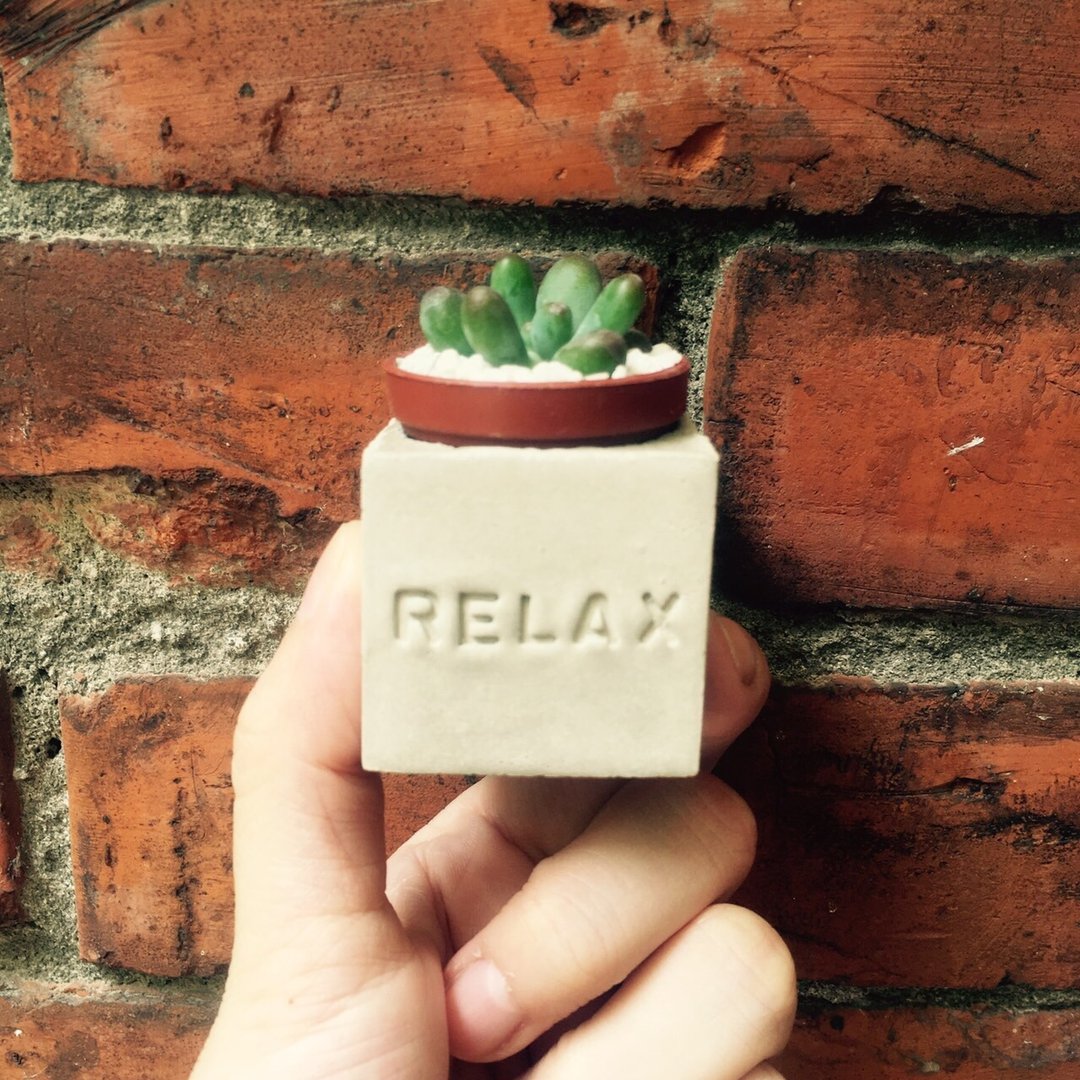 Relax!!磁铁盆栽 - 植栽/盆栽 - 水泥 灰色