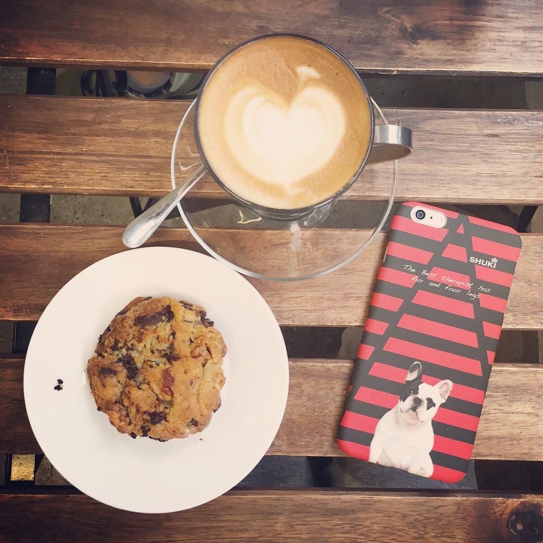 SHUKI 原创设计 iphone 6 / 6 Plus 手机壳phone case 老虎狗 Bull Dog 图案 - 其他 - 塑料 