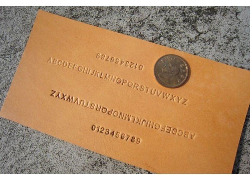 定制化烙印 - 其他 - 真皮 