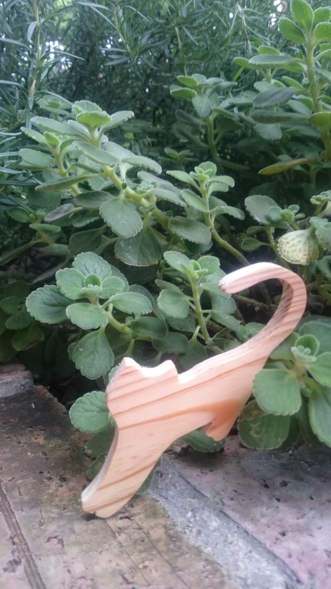 [姿态]手做  强力磁铁 猫  木  杂货 zakka  家饰 - 其他 - 木头 卡其色