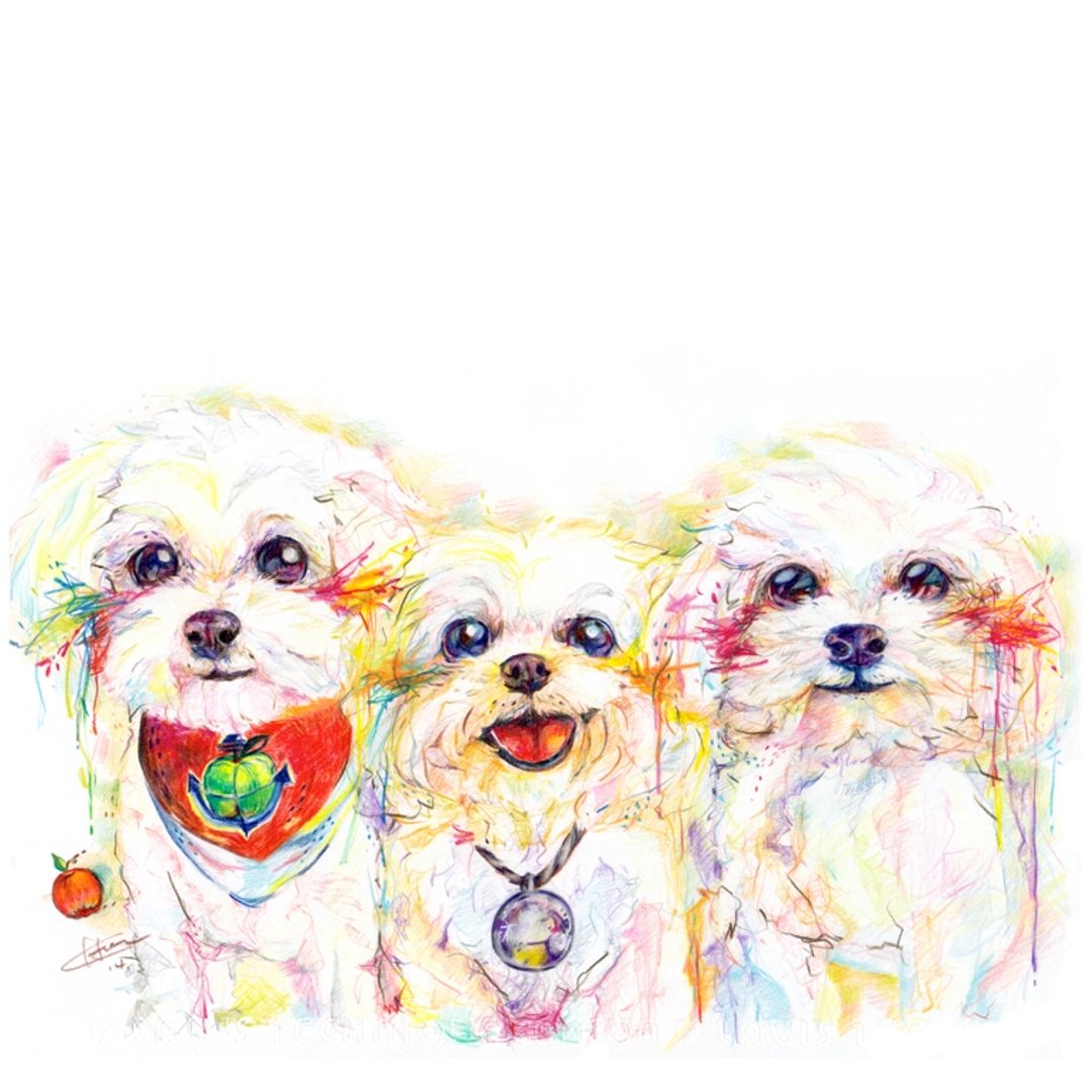 Pet Portrait 宠物肖像 / 21x30cm (8x12寸) / 三只一张 / 色铅笔 - 其他 - 纸 多色