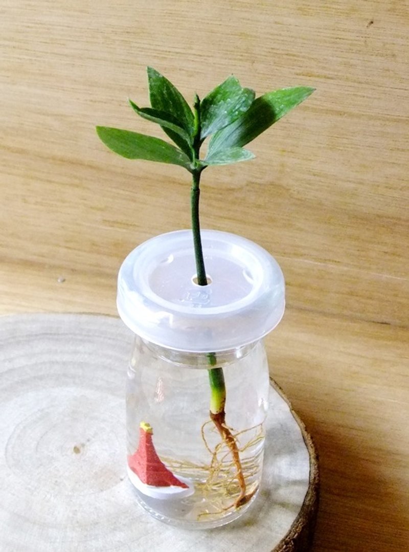 植物水族箱 · 日本艾草 - 植栽/盆栽 - 植物．花 