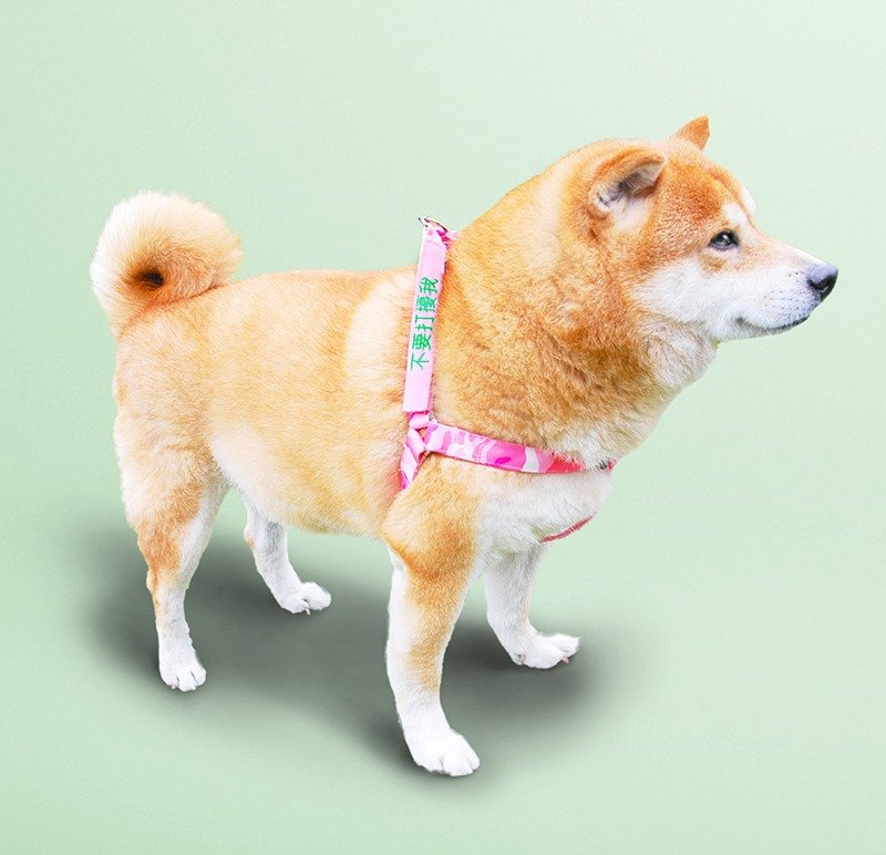 (M)胸背带+2句标语 粉红迷彩 - 项圈/牵绳 - 绣线 粉红色