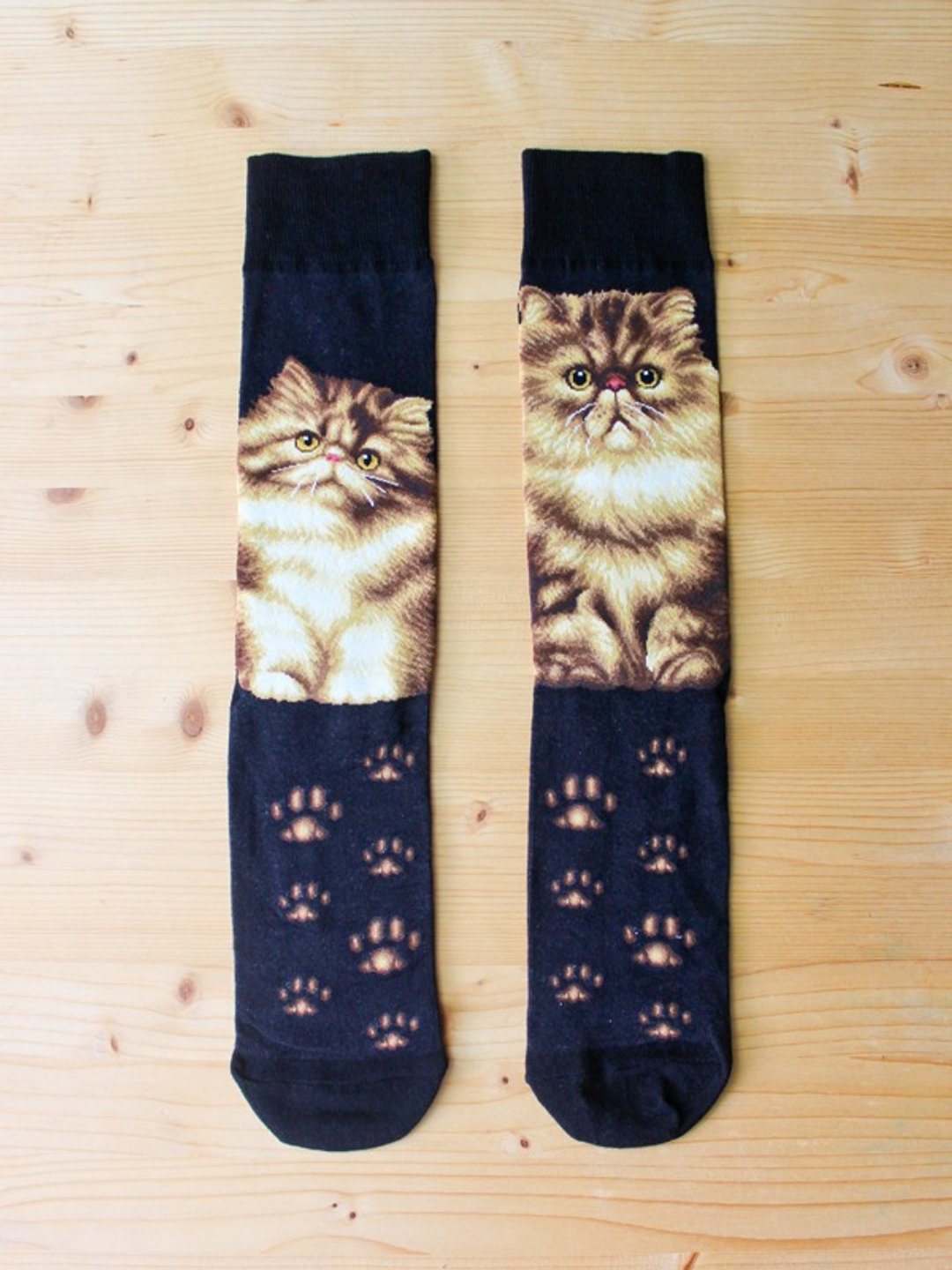 JHJ Design 加拿大品牌 高彩度针织棉袜 猫咪系列 金吉拉 男款 - 袜子 - 其他材质 黑色