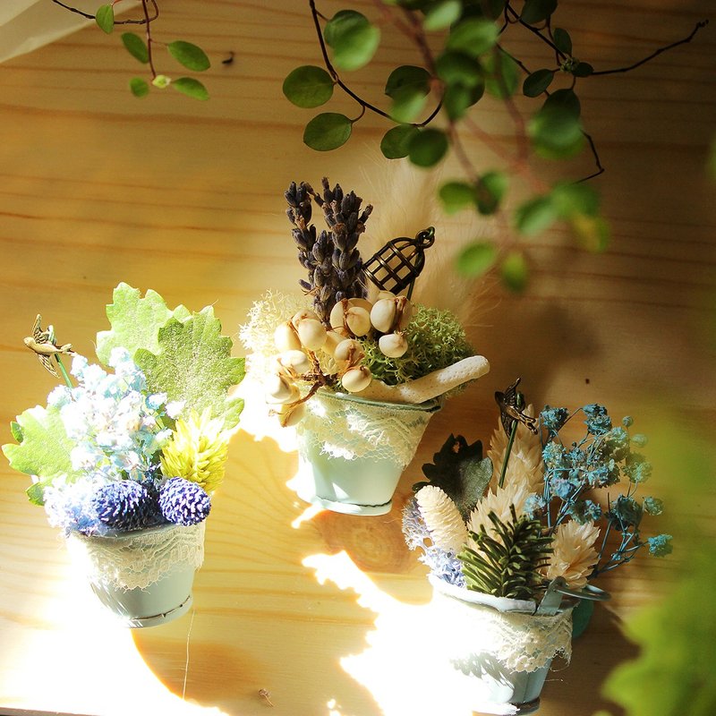 【青鸟幸福/三入/附礼盒包装】干燥花摆饰及万用磁铁，实用礼物首选 - 植栽 - 植物．花 蓝色