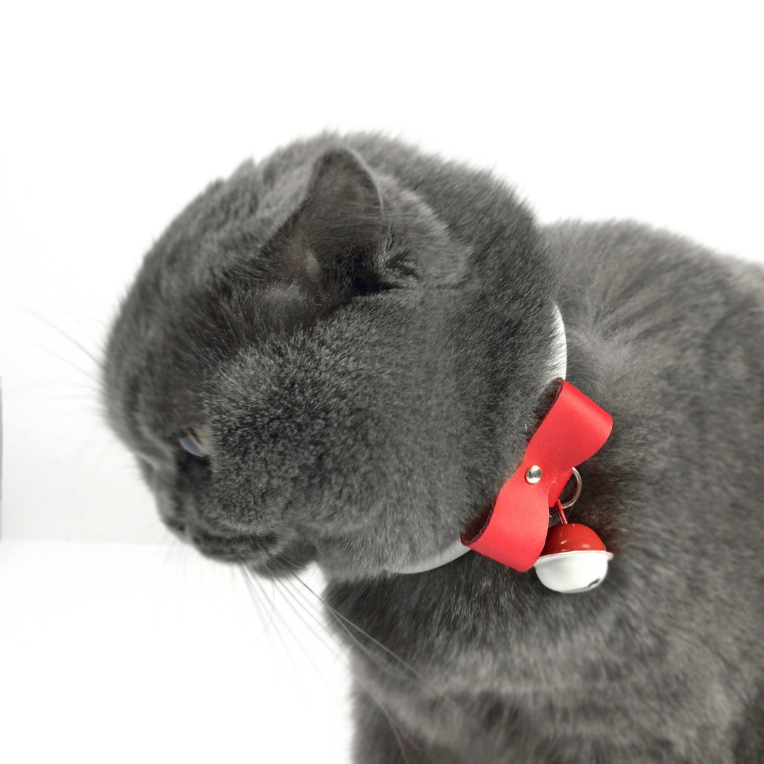 Jingle Pet Jingle Pet Jingle all the way 红与白 - 项圈/牵绳 - 真皮 红色