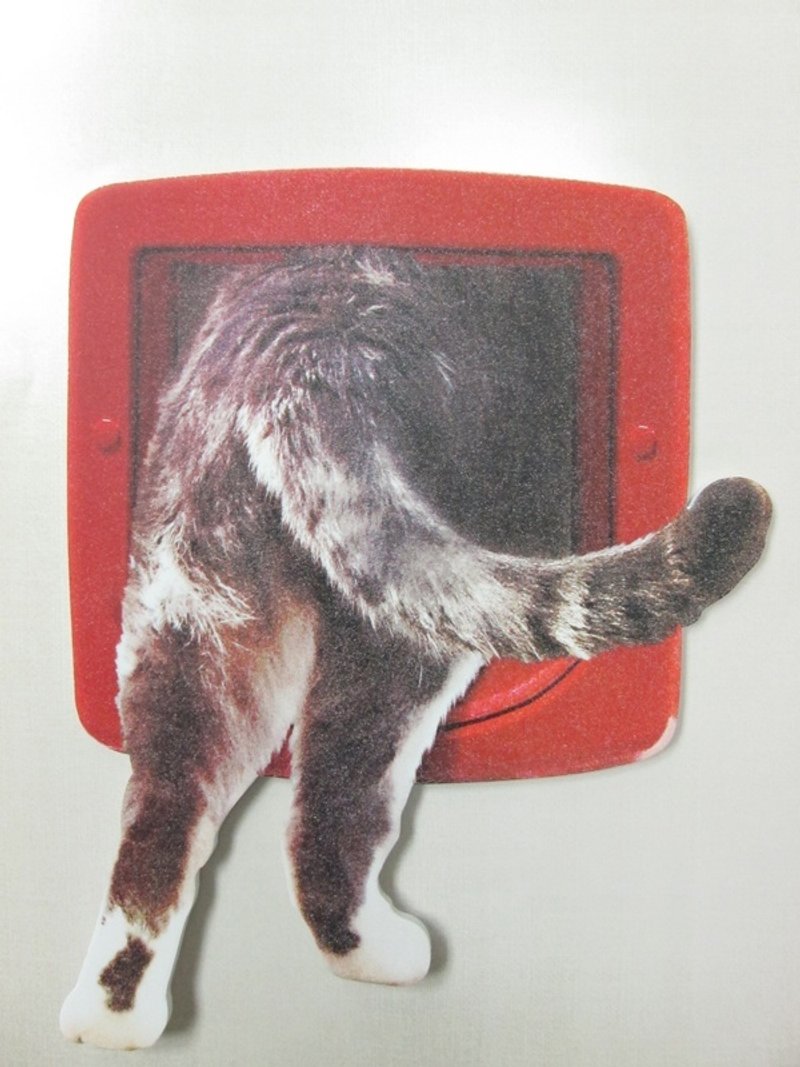 Mark's Interior Sticker 立体装饰壁贴【猫咪钻洞 (STK-IN1-M)】 - 墙贴/壁贴 - 其他材质 红色