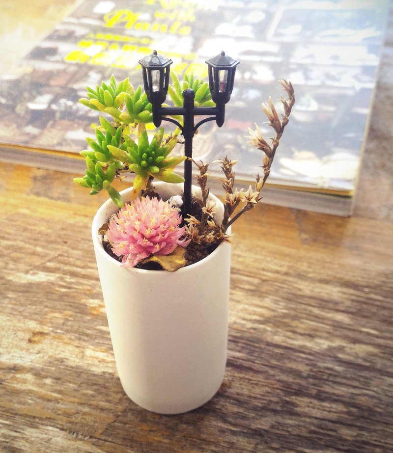 〈公园散散步〉多肉植物 路灯 公园 聊天 盆栽  <The park for a walk> Succulents - 植栽/盆栽 - 瓷 白色