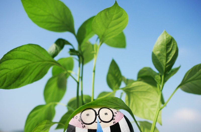 “WoodleBeans ”石头插画 - 其他 - 其他材质 多色