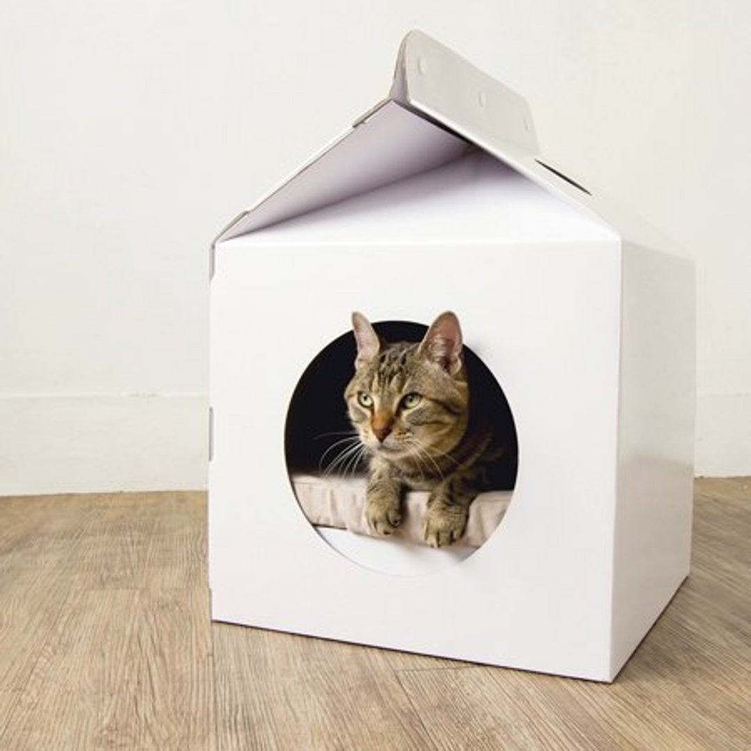 MILK BOX猫屋 - 其他 - 纸 白色