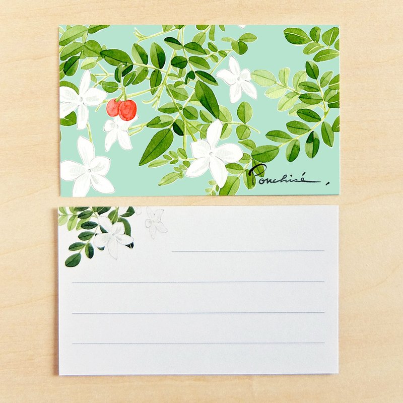 小卡系列 薰衣草 10 入组 - 卡片/明信片 - 纸 蓝色