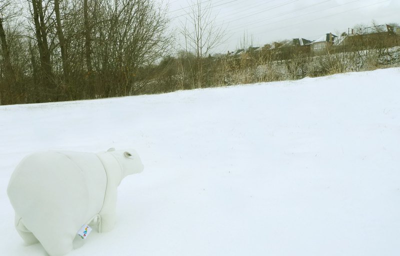 +zoom-  沙发牛皮制 北极熊造型笔袋(置物袋) - 珠光白 - 其他 - 真皮 白色