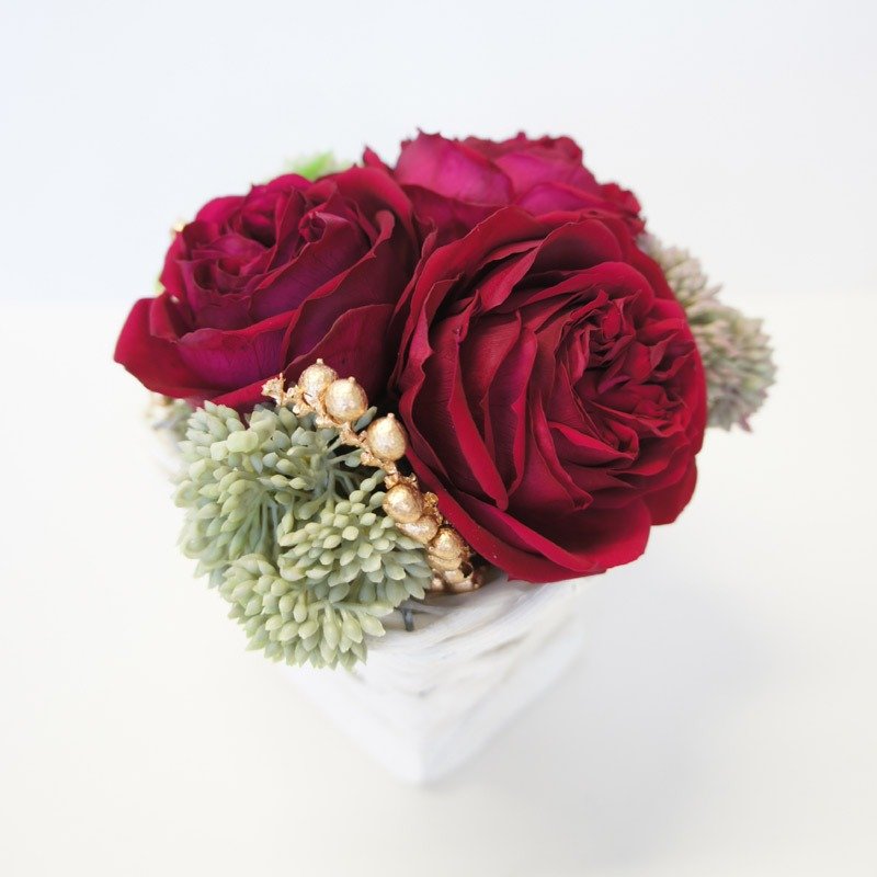 庭园玫瑰 不凋花盆花花礼 莓果紫(现货) - 植栽/盆栽 - 木头 紫色