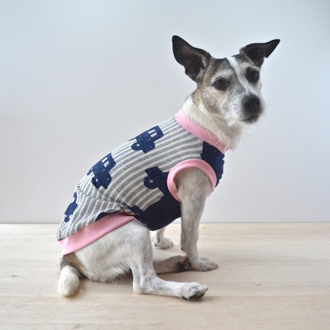 Anti-Mosquito Dog Clothes "Cars" LL - 衣/帽 - 其他材质 蓝色