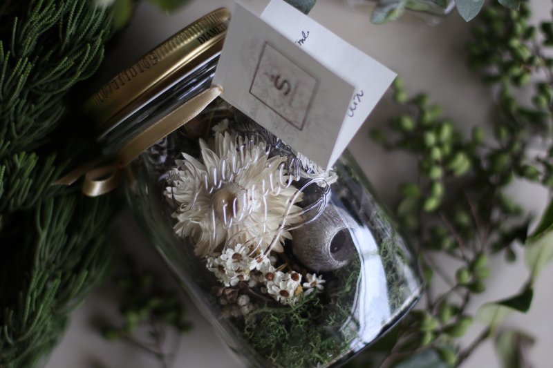 小森林干燥花玻璃罐_不凋花_交换礼物_派对_可定制 - 植栽/盆栽 - 植物．花 多色