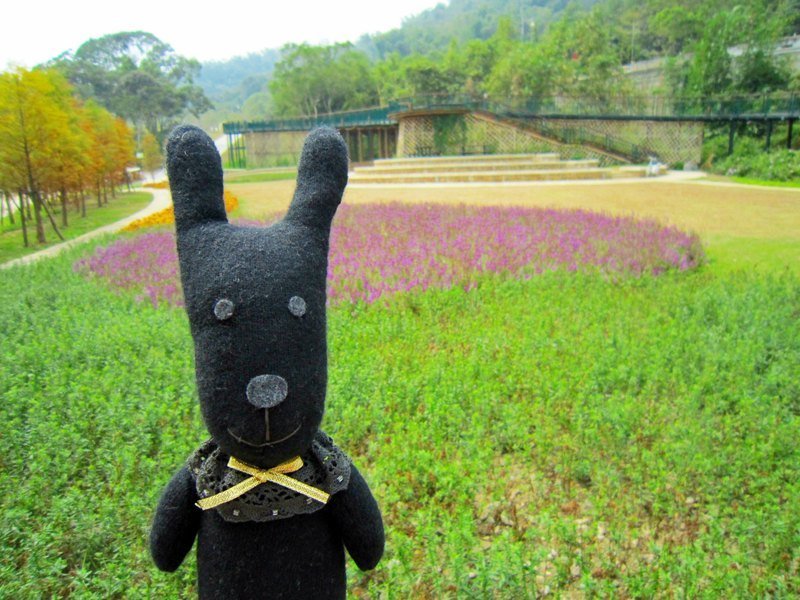 布蕾克邦尼兔＆波珀邦尼兔 - 玩偶/公仔 - 其他材质 多色