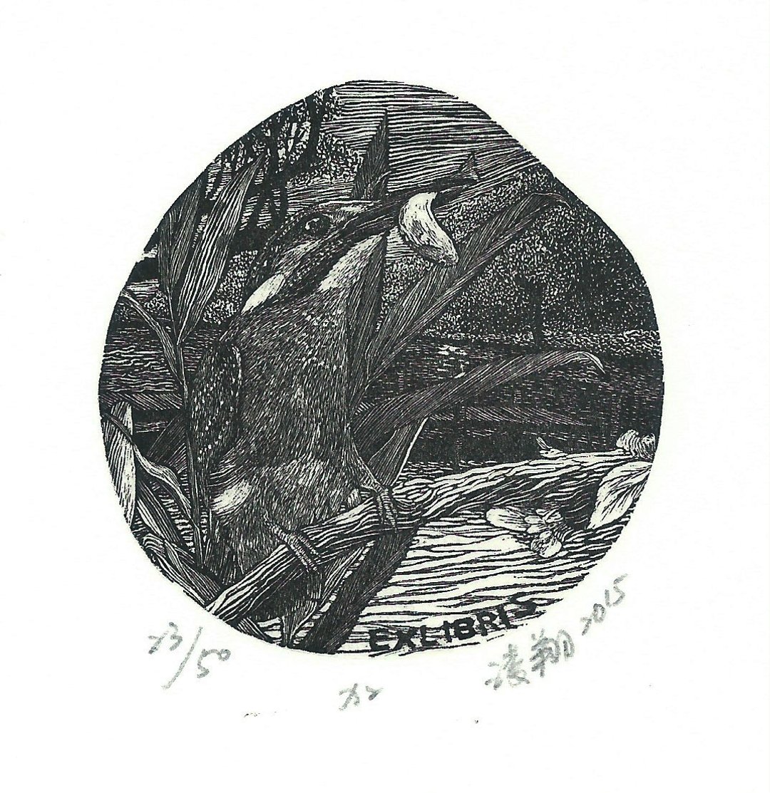版画藏书票-翠鸟-张淩翔 - 海报/装饰画/版画 - 纸 黑色