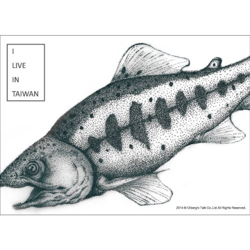 【蒋堂-明信片】樱花钩吻鲑  ( 台湾特有种 保育类动物 爱台湾 ) - 卡片/明信片 - 纸 多色