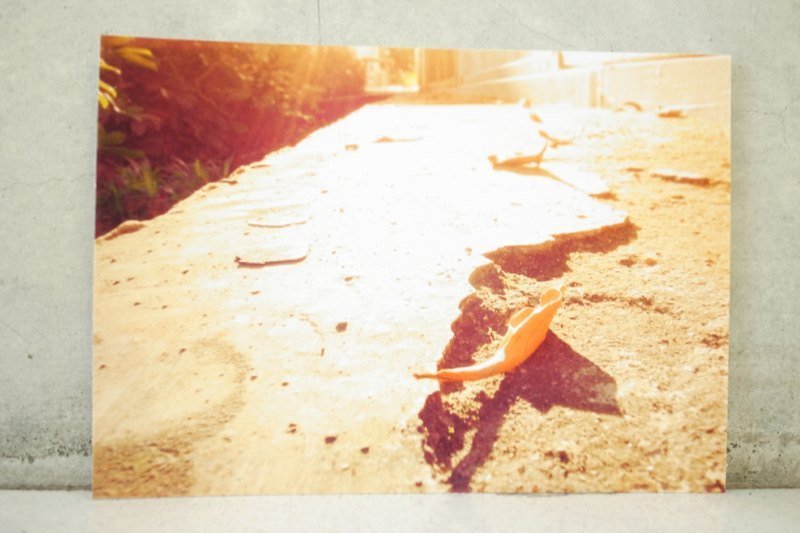 枯木&CryWood手作明信片【080】─清晨的阳光 - 卡片/明信片 - 纸 黄色