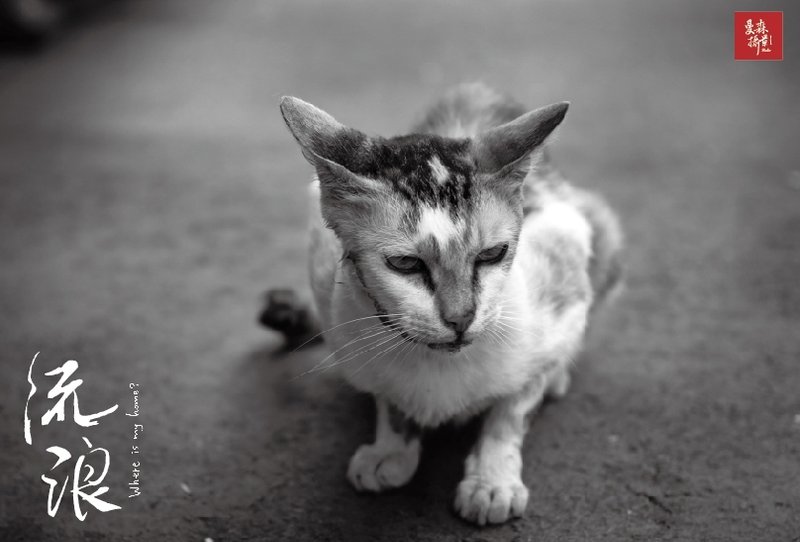 明信片 / 流浪摄影纪实系列 # 12 · 工厂我的家 - 卡片/明信片 - 纸 黑色