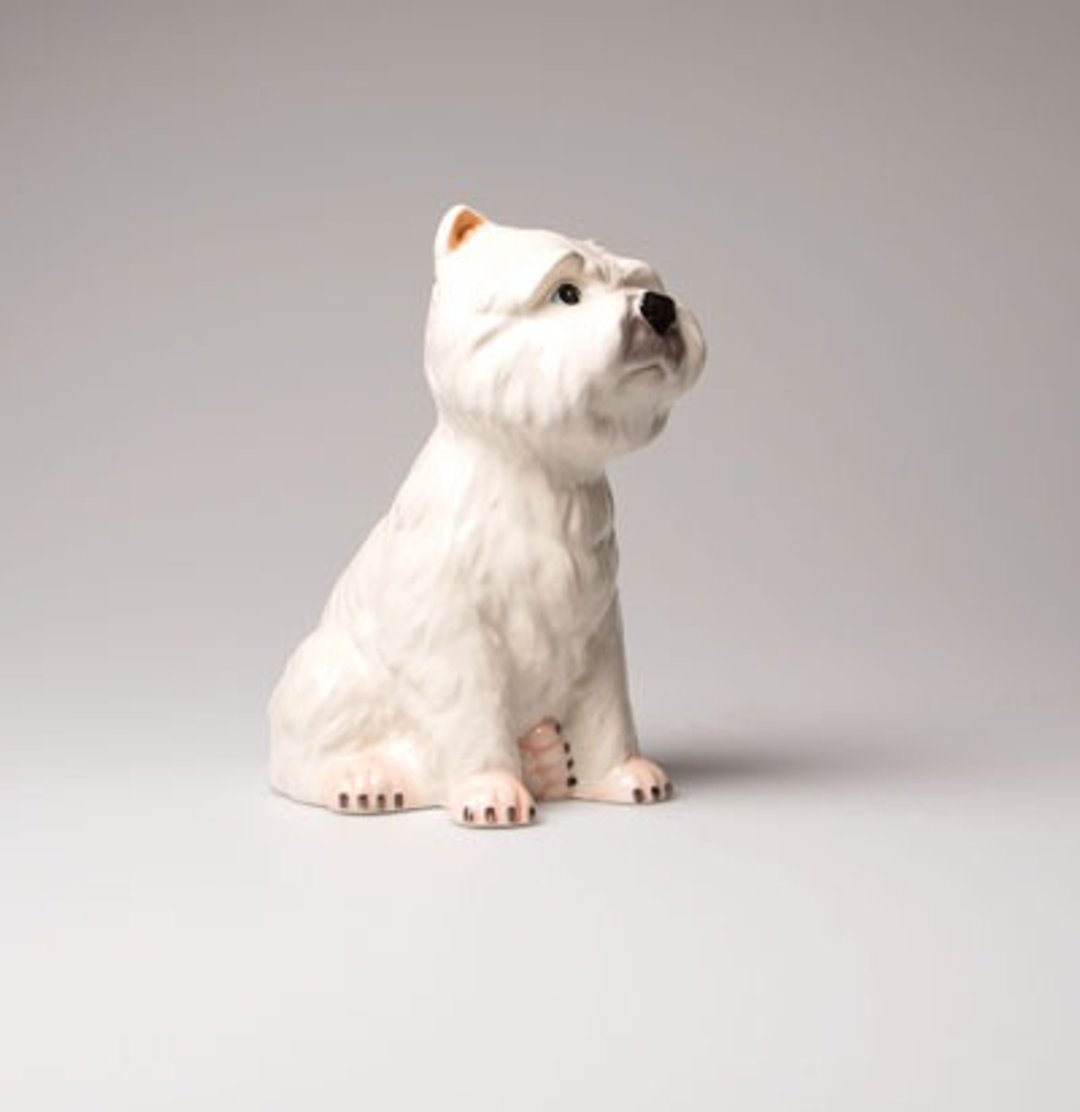 SUSS-英国品牌Sass&amp;Belle 可爱Westie西莎 狗狗/西高地白㹴 造型存钱筒---现货包邮 - 储蓄罐 - 其他材质 白色