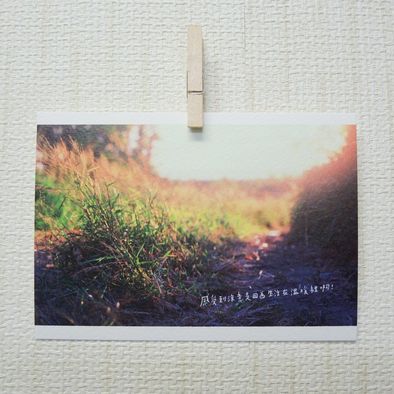 生活在温暖里/ Magai's postcard - 卡片/明信片 - 纸 红色