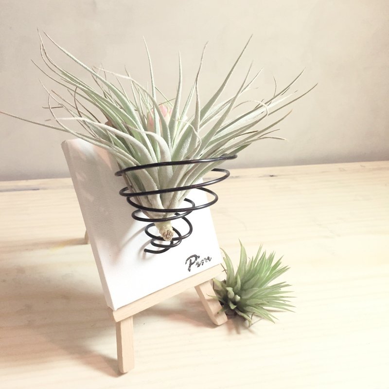 动植物 空凤小画架植栽组 - 植栽/盆栽 - 植物．花 绿色