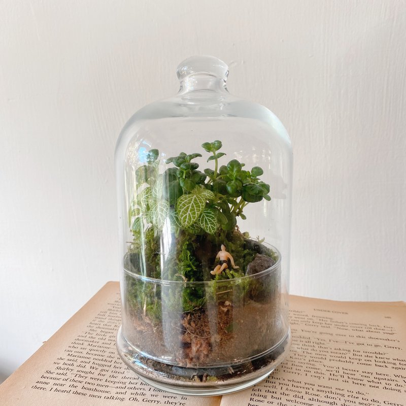 苔藓生态瓶 城市渡假款 - 胸花/手腕花 - 植物．花 绿色