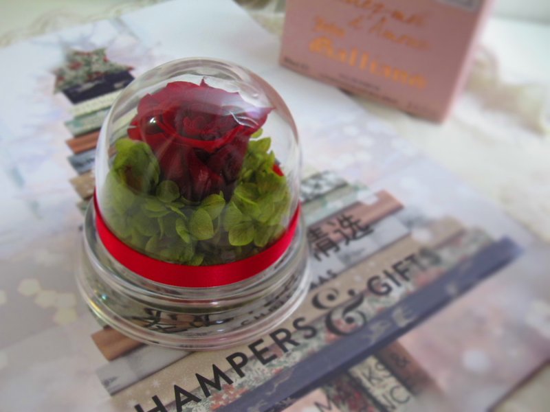 交换礼物 蛋型小花礼 - 植栽/盆栽 - 植物．花 多色