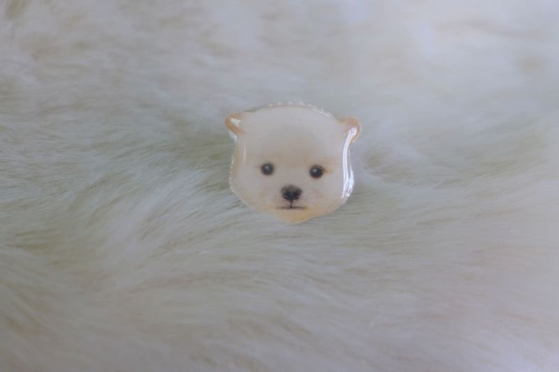 毛小孩--小白球  穿洞式耳环 - 耳环/耳夹 - 其他材质 白色