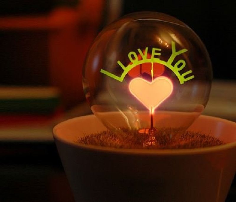 I love you 小夜灯盆栽组 / 圣诞节交换礼物 / 情人节礼物 /告白好帮手 - 灯具/灯饰 - 玻璃 白色
