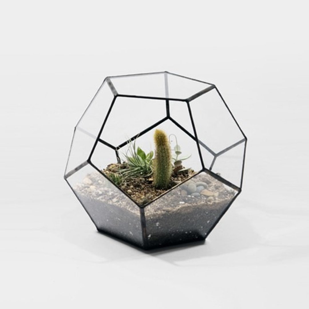 Dodeca 花器 | Score+Solder - 植栽/盆栽 - 玻璃 黑色
