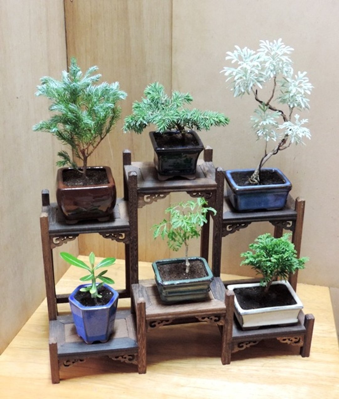 日丰系列小品 · 特制小品赏【单售小品架】 - 植栽/盆栽 - 植物．花 