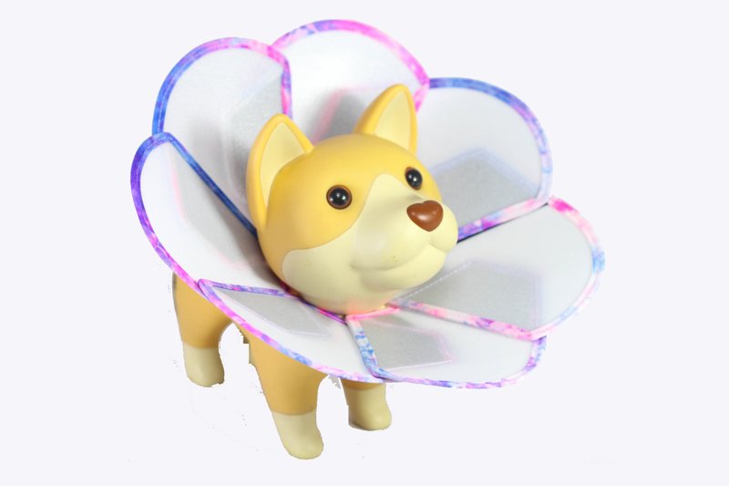 Petals花朵宠物防舔咬头套【医疗板】(尺码M) *台湾新型专利设计* - 其他 - 塑料 橘色