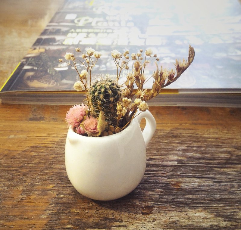 〈花间小肉壶〉多肉植物 盆栽   <Flowers small meat pot> succulents - 植栽/盆栽 - 瓷 白色