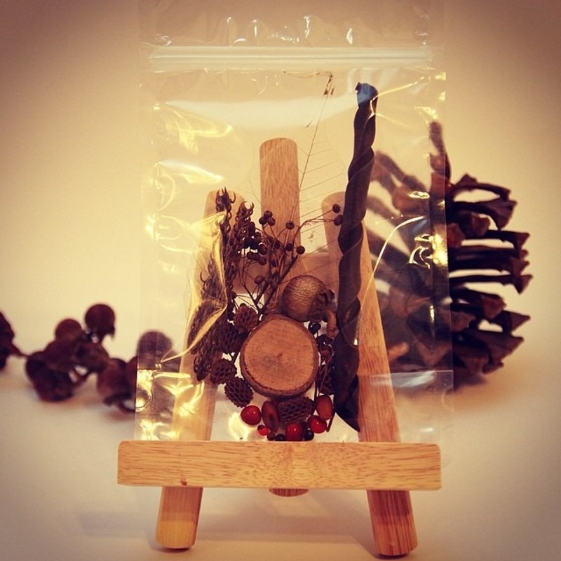 和森兄弟 - 种子气氛DIY包 - 植栽 - 植物．花 咖啡色