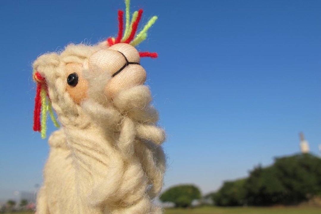 LLAMA 骆马毛编织娃玩偶娃娃钥匙圈-白 - 钥匙链/钥匙包 - 其他材质 白色