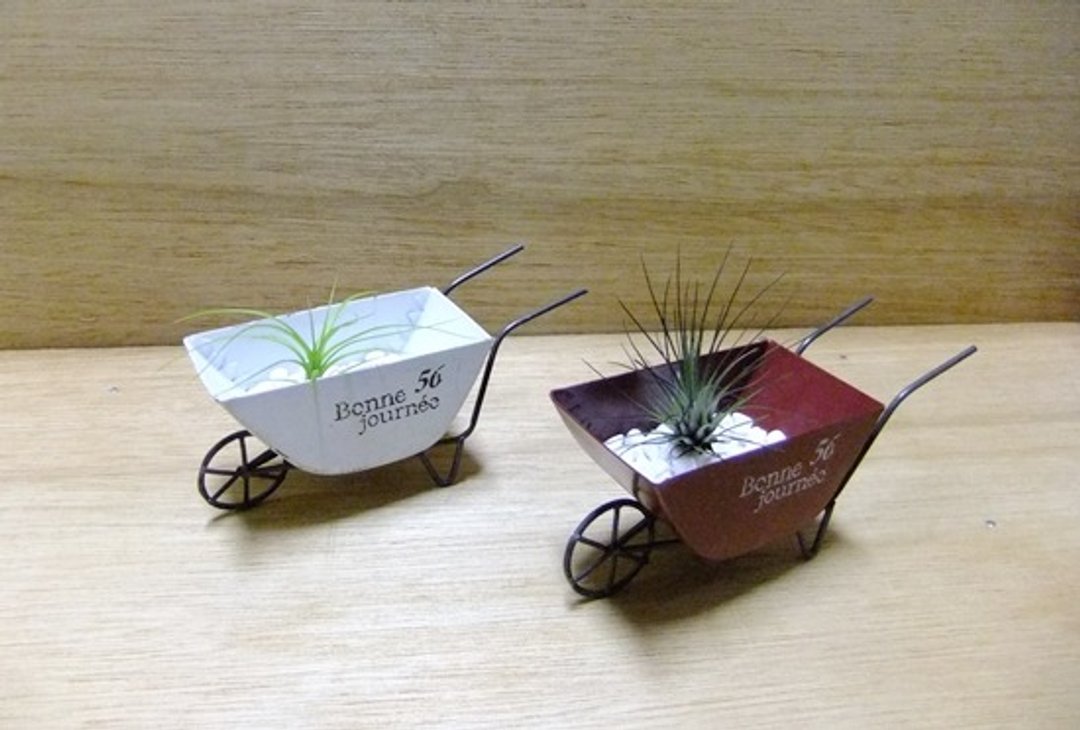 空气凤梨 · 复古花园推车 - 植栽/盆栽 - 植物．花 
