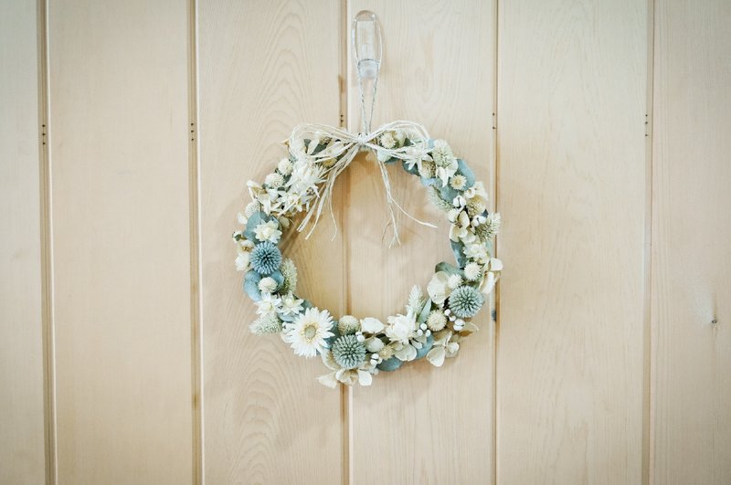 夏日白花花圈 - 植栽 - 植物．花 白色