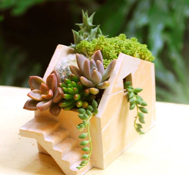 斜口屋楼梯-不含多肉植物“空盆器”（HB-11） - 植栽/盆栽 - 其他材质 黄色