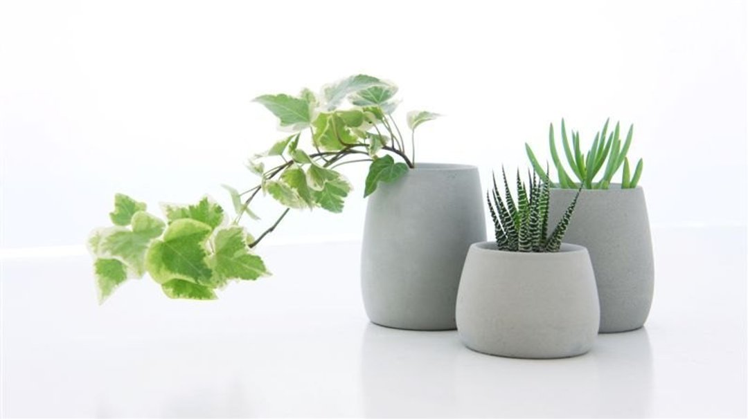 KALKI'D 亲水泥花器 - 圆器 任选2款  /水泥/工业风/植栽/ - 植栽/盆栽 - 水泥 灰色