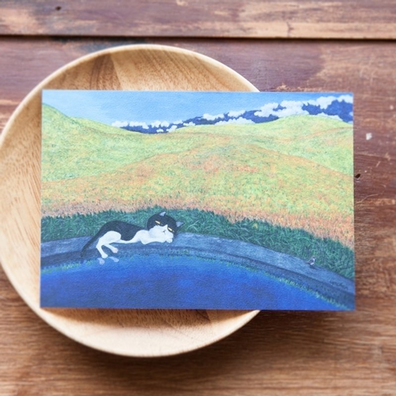 这里是台湾 - 自然风景系列_山坡上的金色花毯 - 卡片/明信片 - 纸 黄色